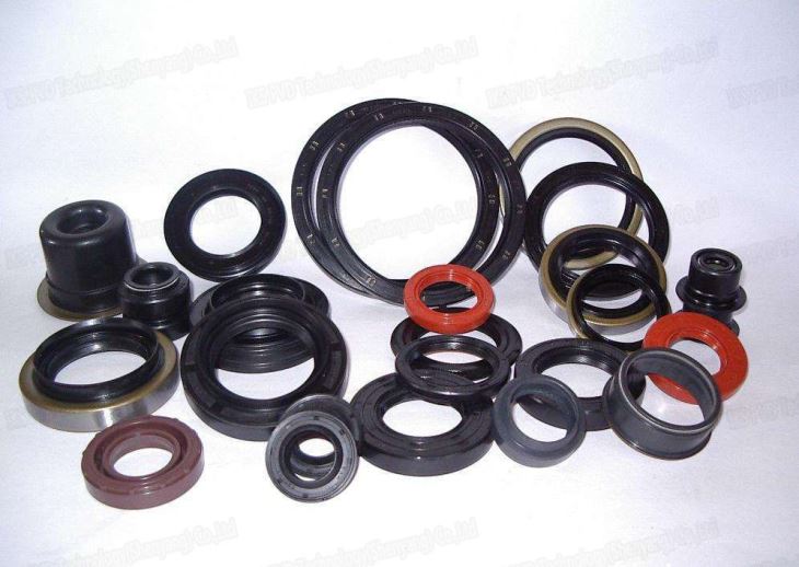 Oil Seals